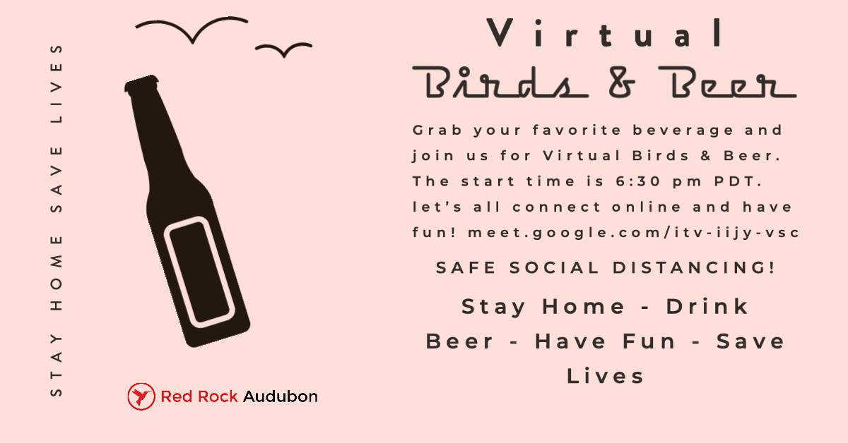 virtual birds and beers